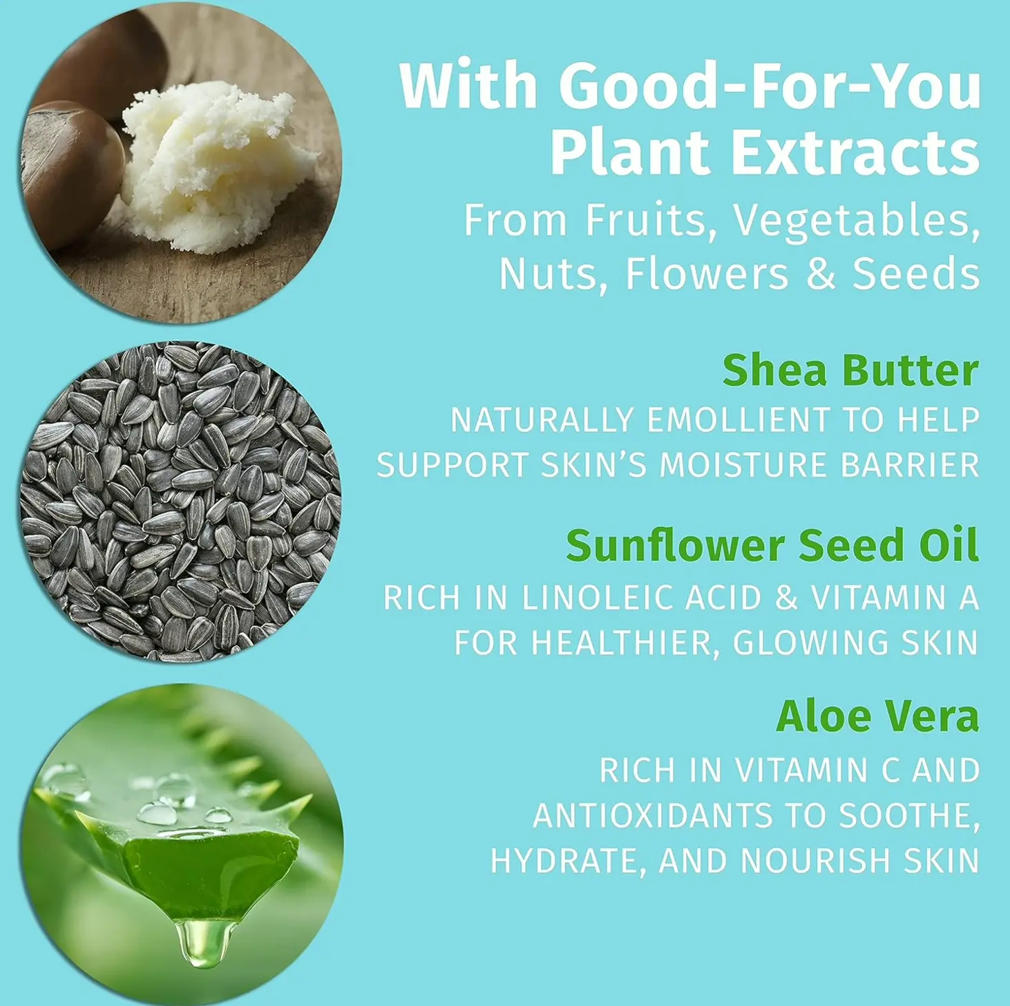 Hempz Sugar High & Vanilla Frost Mini Cream Set