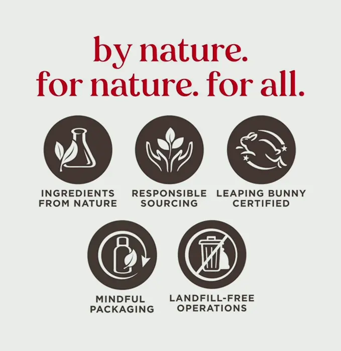 Burt After Sun Cream with Aloe Vera & Coconut